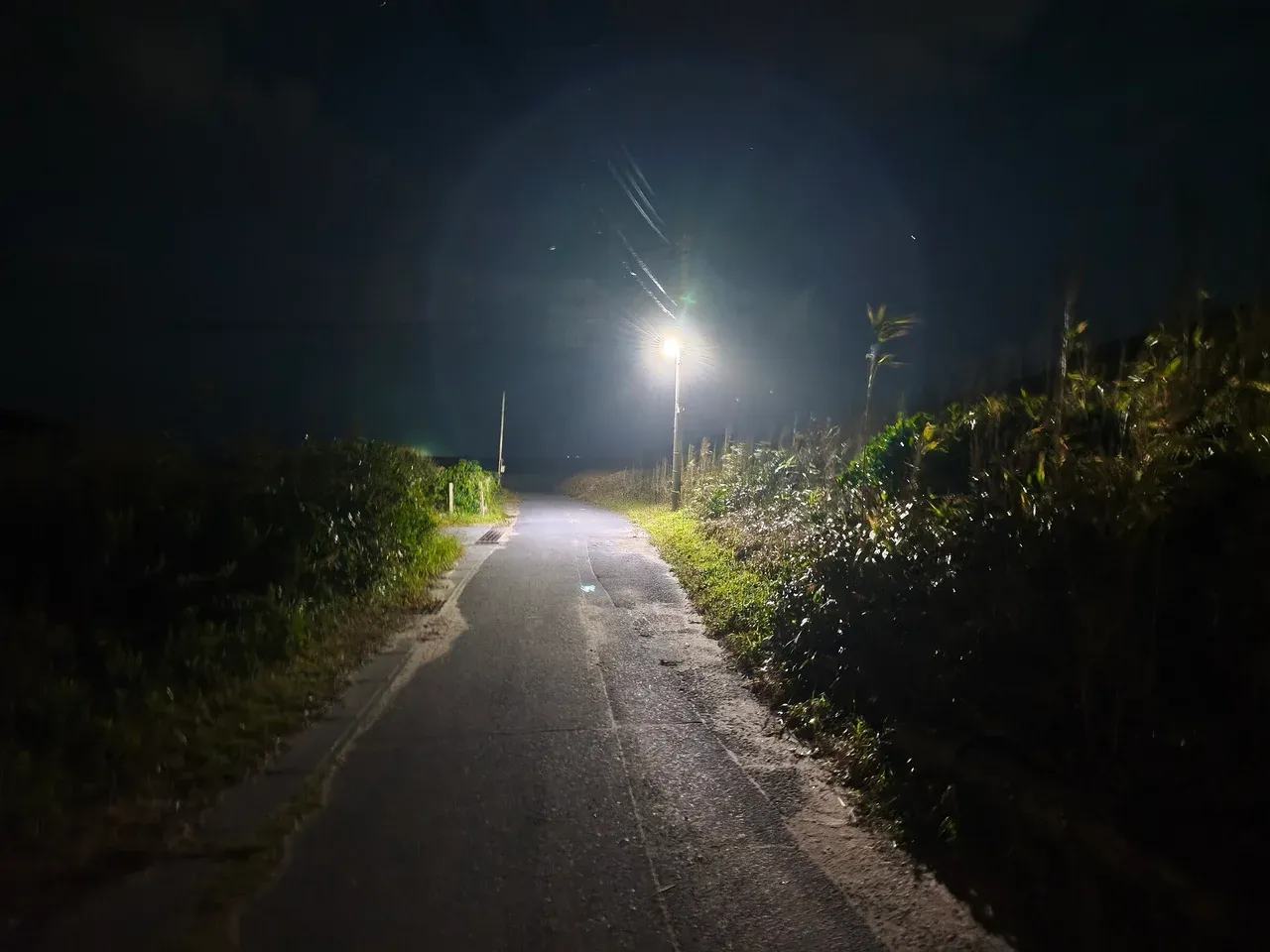 トイレへ向かう夜道。街灯があるのはここだけ