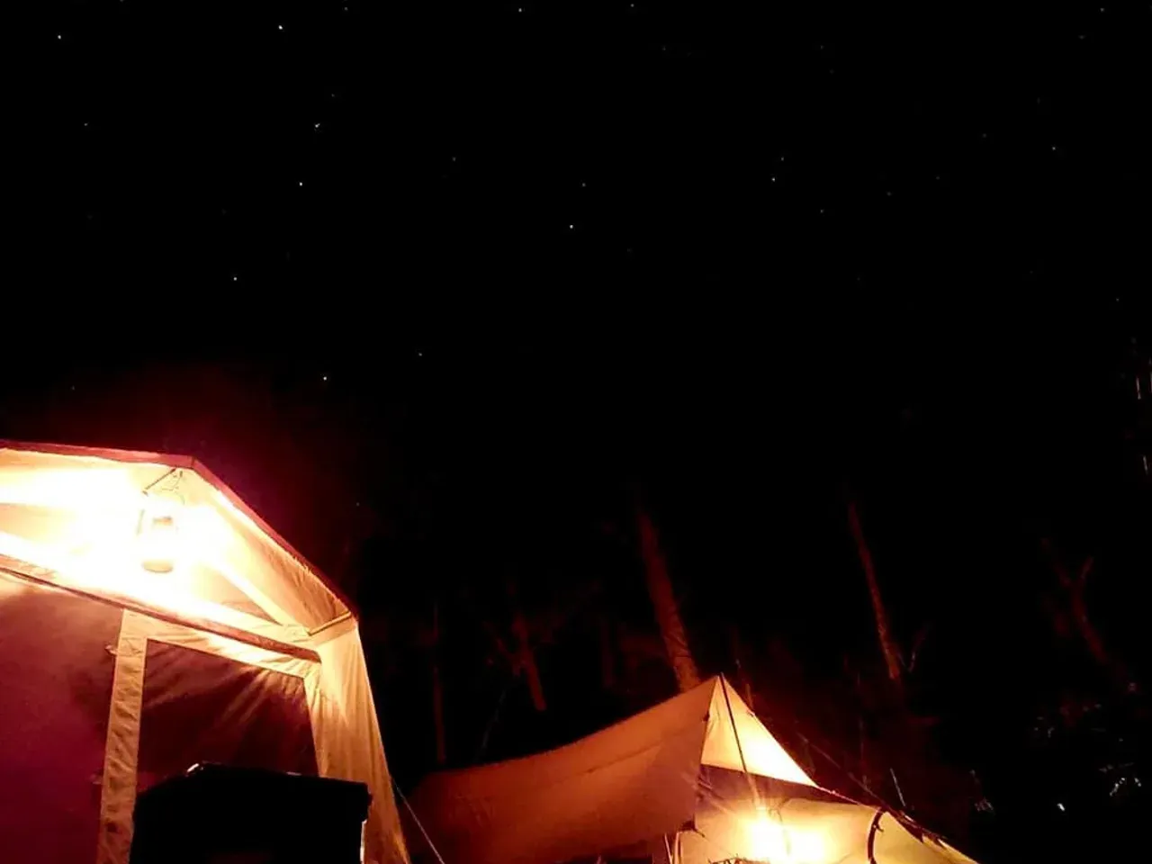 桐の木平キャンプ場 テントと星空