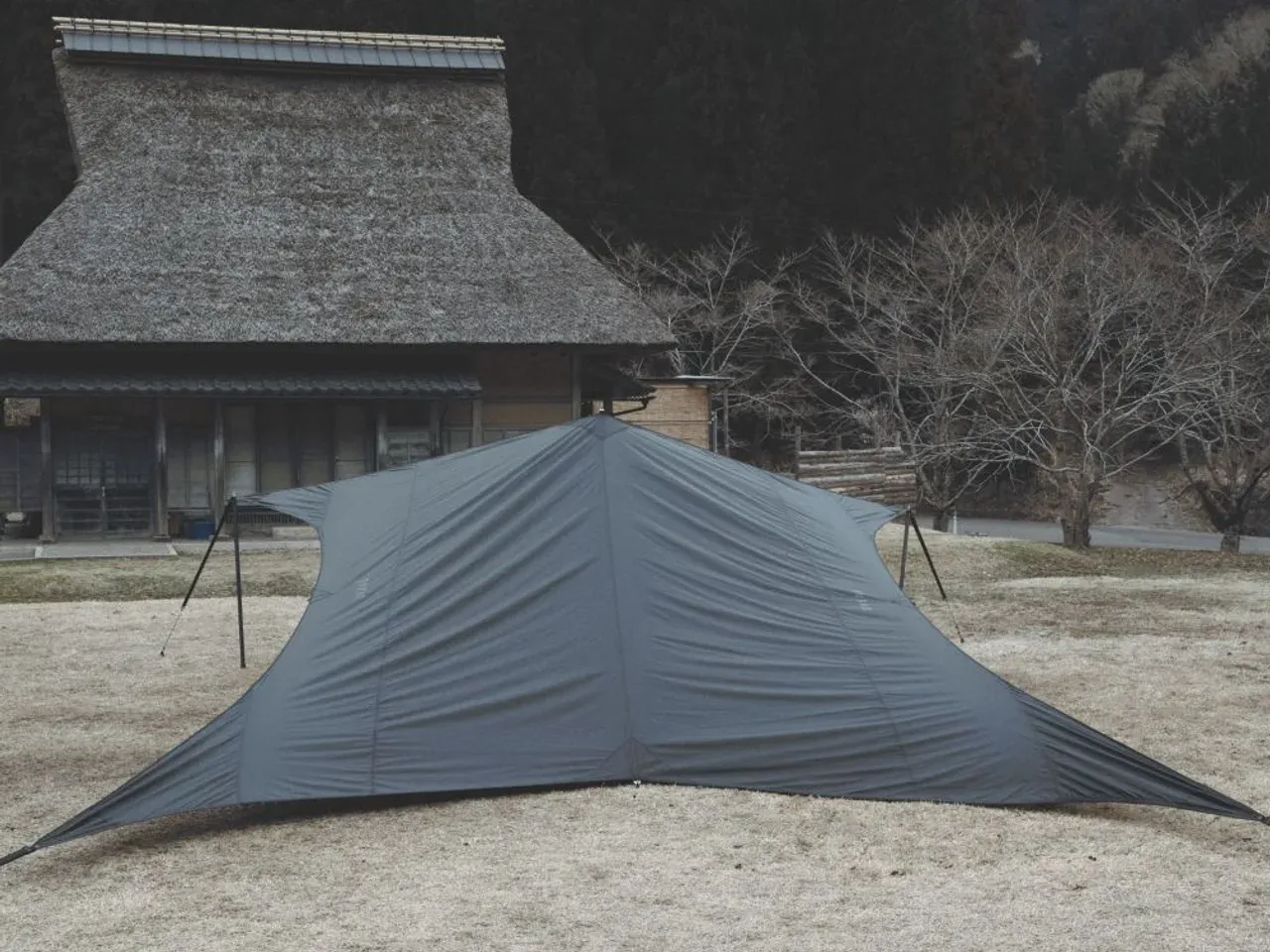低く張った状態のNEUK