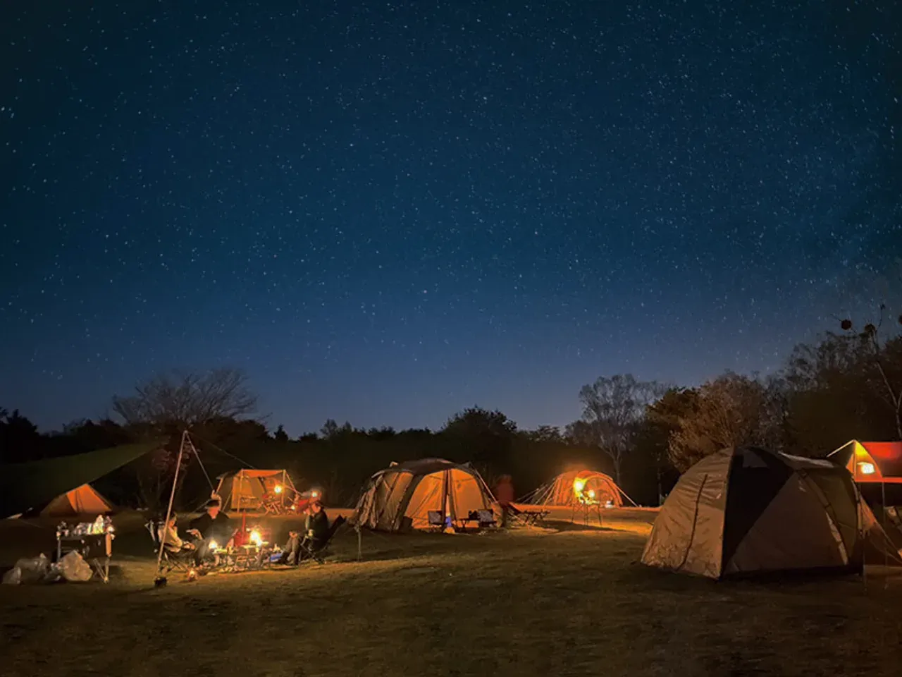Star Light Camp Base サイト